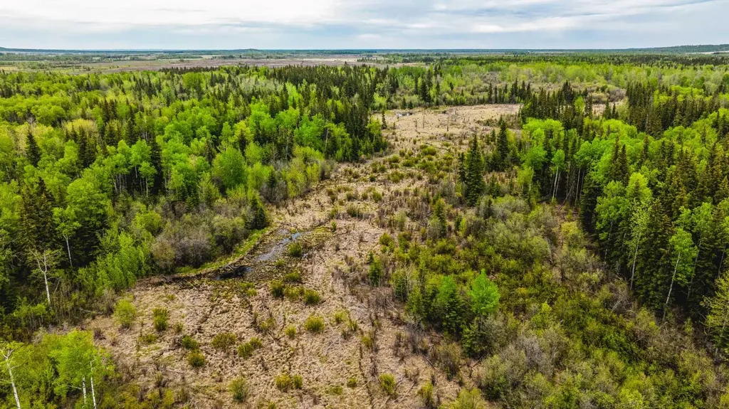 SE-13-81-10-W6 Twp Road 812 Rural Saddle Hills County AB T0H 3G0