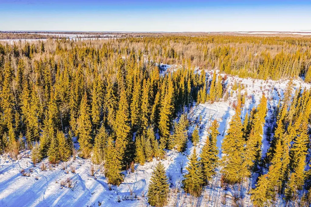 SE-13-81-10-W6 Twp Road 812 Rural Saddle Hills County AB T0H 3G0
