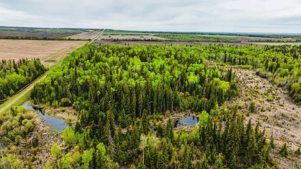 SE-13-81-10-W6 Twp Road 812 Rural Saddle Hills County AB T0H 3G0
