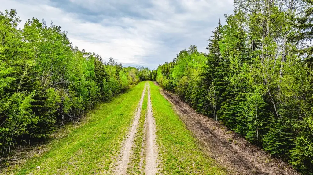 SE-13-81-10-W6 Twp Road 812 Rural Saddle Hills County AB T0H 3G0