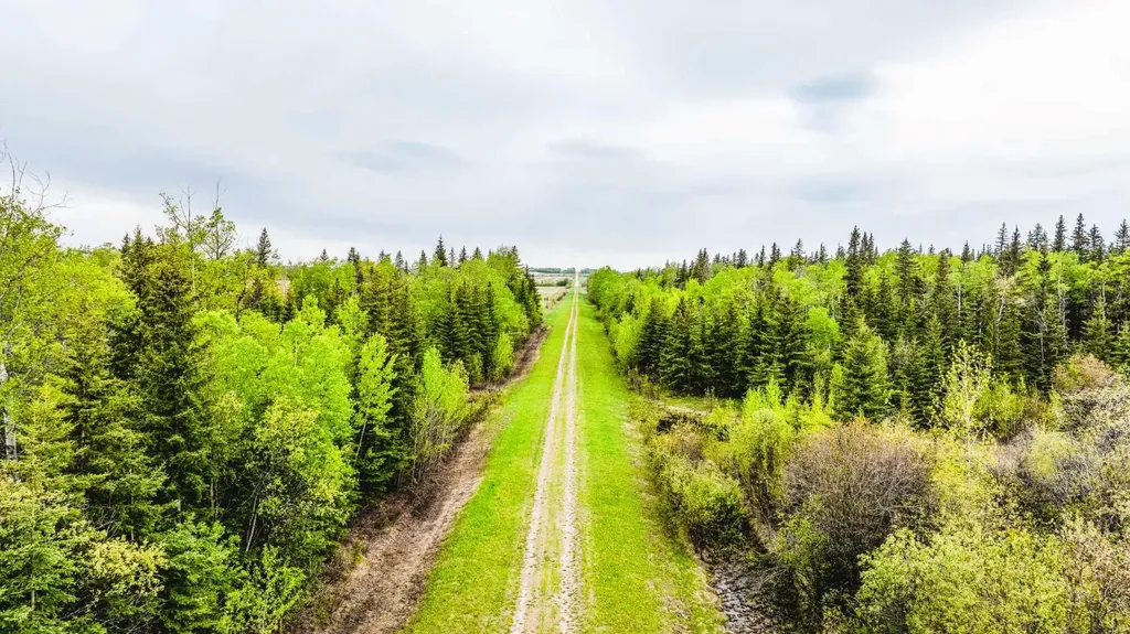 SE-13-81-10-W6 Twp Road 812 Rural Saddle Hills County AB T0H 3G0