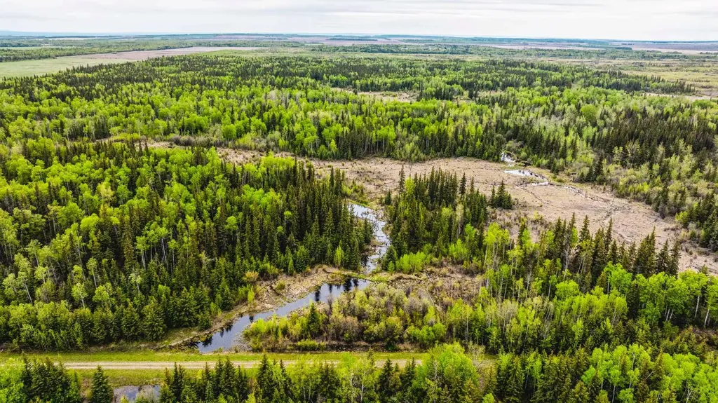 SE-13-81-10-W6 Twp Road 812 Rural Saddle Hills County AB T0H 3G0