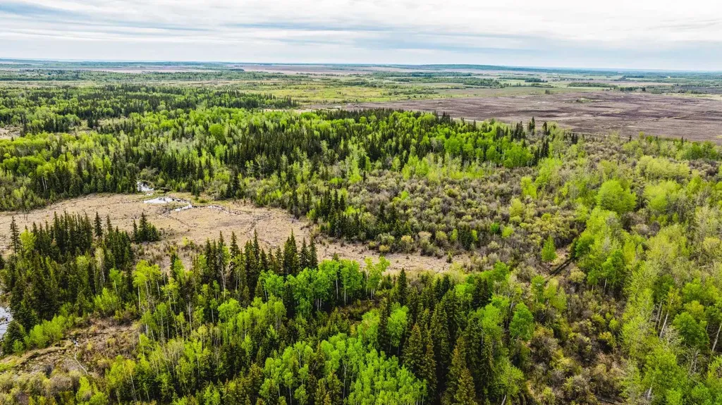 SE-13-81-10-W6 Twp Road 812 Rural Saddle Hills County AB T0H 3G0