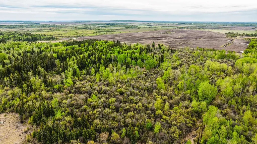 SE-13-81-10-W6 Twp Road 812 Rural Saddle Hills County AB T0H 3G0