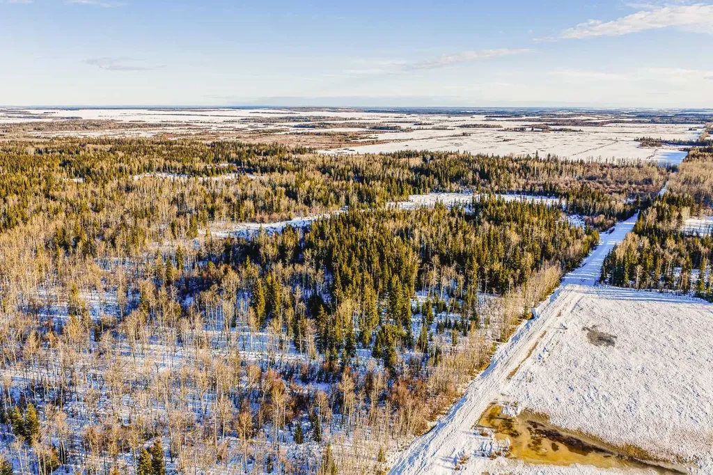 SE-13-81-10-W6 Twp Road 812 Rural Saddle Hills County AB T0H 3G0