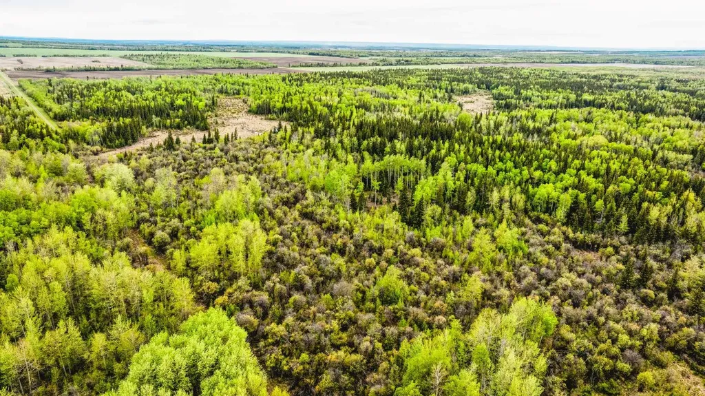SE-13-81-10-W6 Twp Road 812 Rural Saddle Hills County AB T0H 3G0