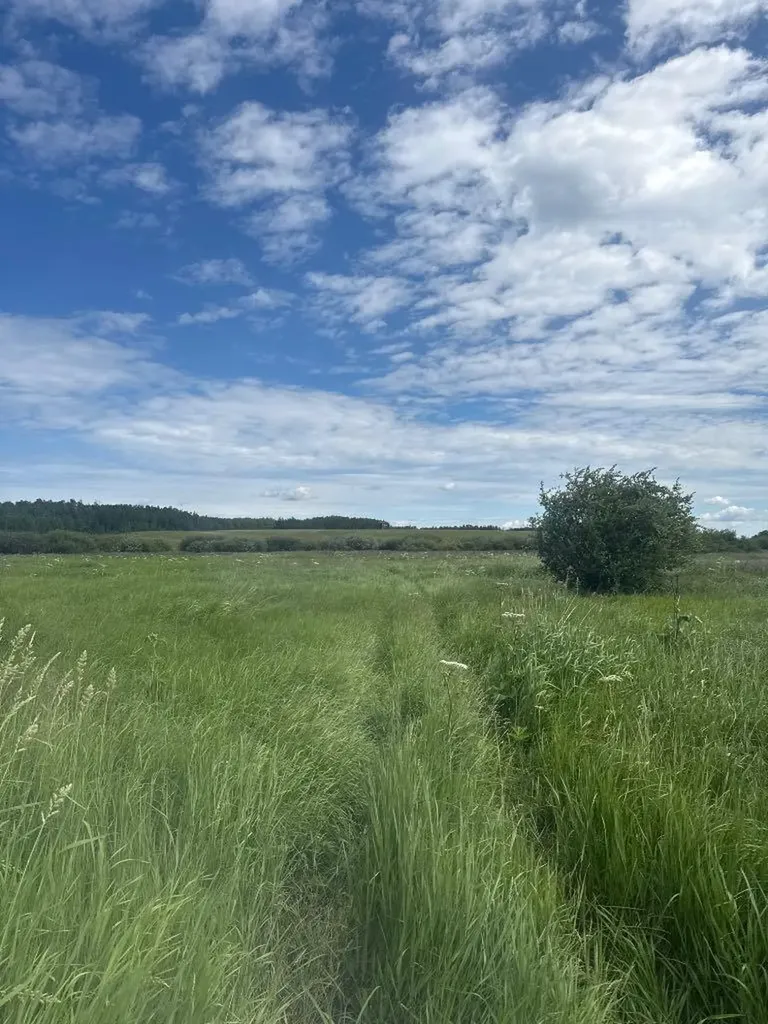0 Old Trail Rural Lac La Biche County AB T0A2C2