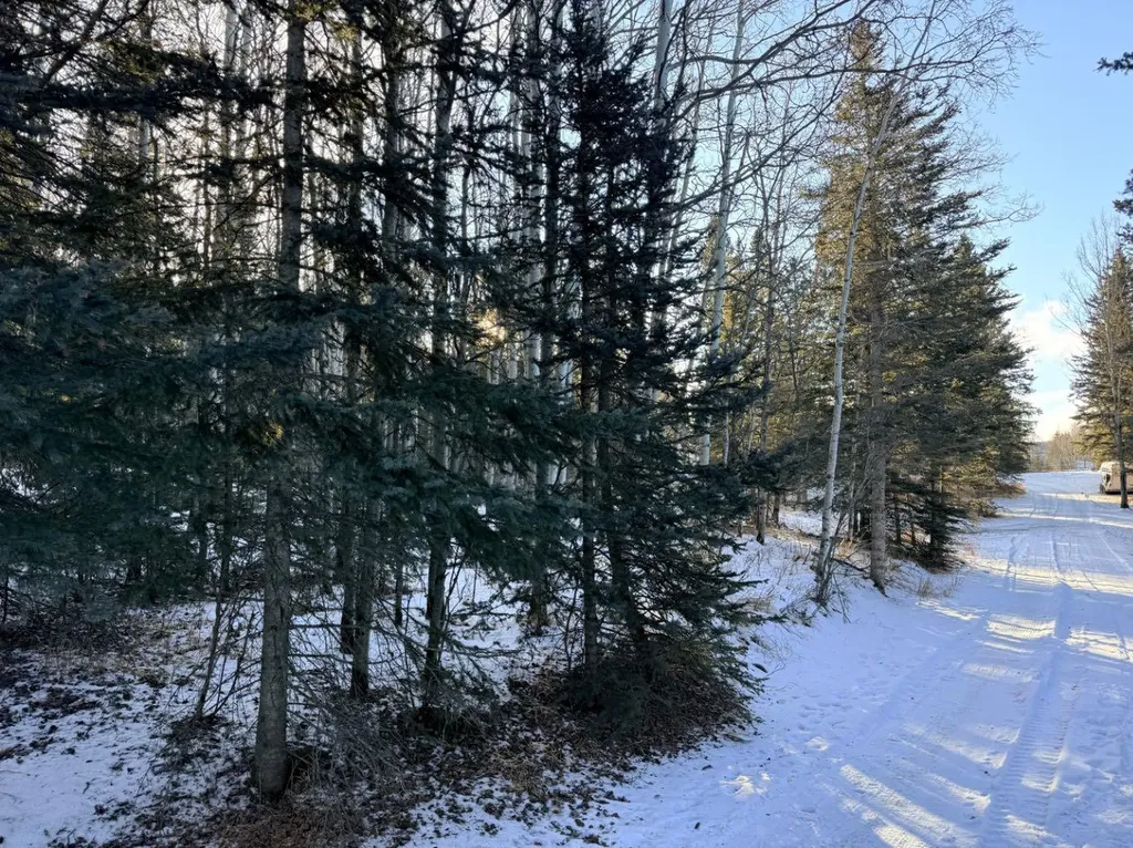 50109 Township Road 283 Rural Rocky View County AB T4C 1A1