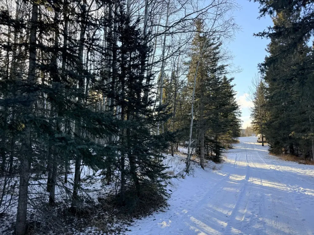 50109 Township Road 283 Rural Rocky View County AB T4C 1A1