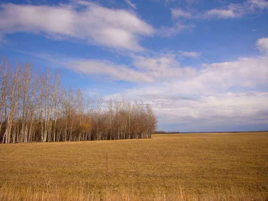 33-82-19-W5 Rural Northern Sunrise County AB T8S 1R8