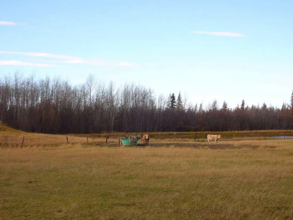 33-82-19-W5 Rural Northern Sunrise County AB T8S 1R8