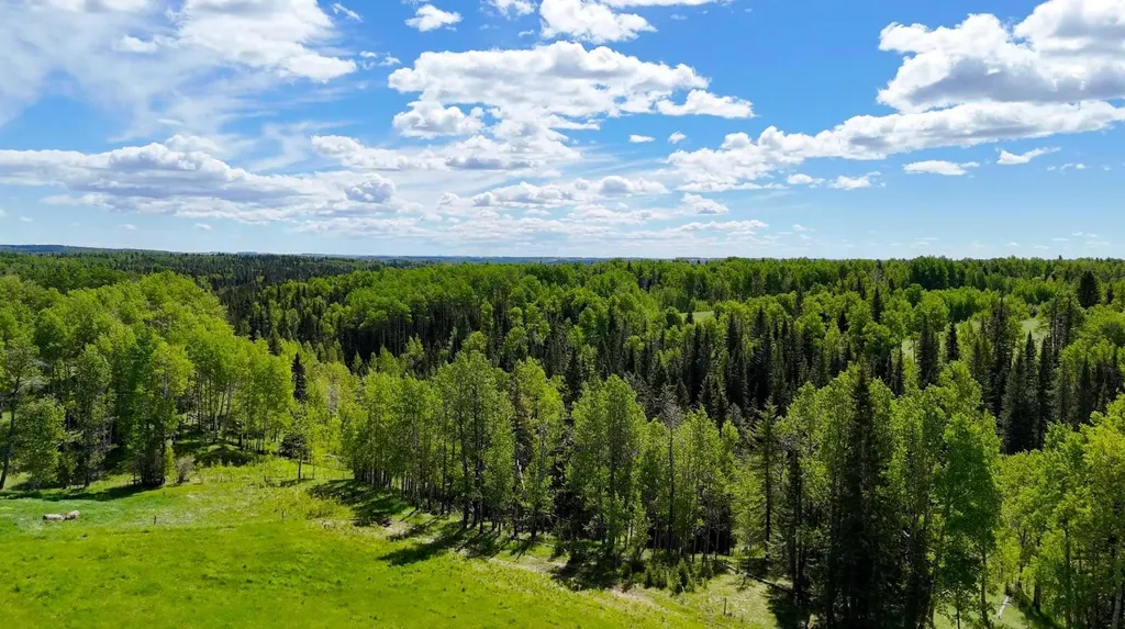 5544 Township Road 302 Rural Mountain View County AB T0M 0R0