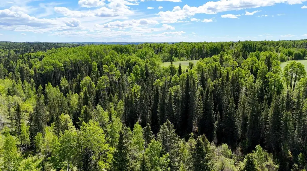 5544 Township Road 302 Rural Mountain View County AB T0M 0R0