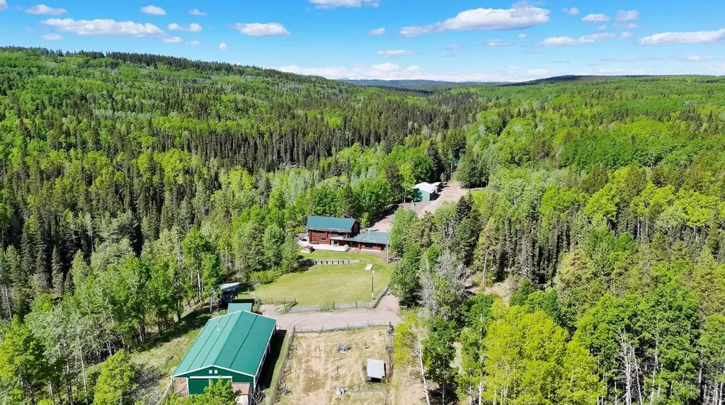 5544 Township Road 302 Rural Mountain View County AB T0M 0R0