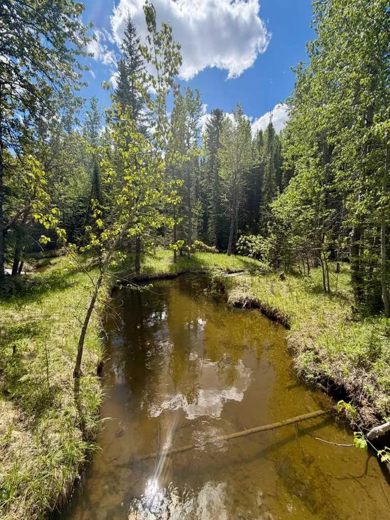 5544 Township Road 302 Rural Mountain View County AB T0M 0R0