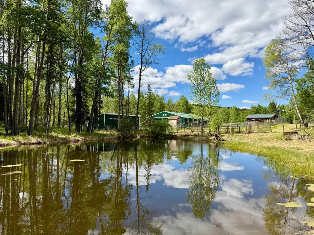 5544 Township Road 302 Rural Mountain View County AB T0M 0R0