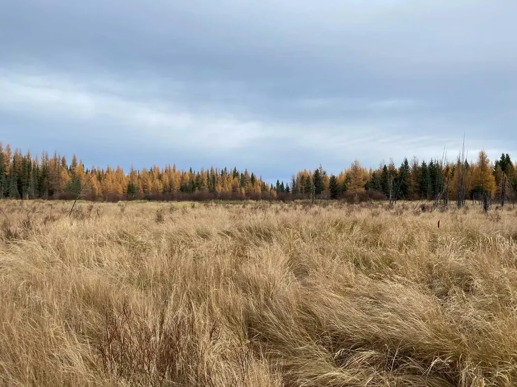 NW-4-54 -17-W5 Rural Yellowhead County AB T7E 3M4