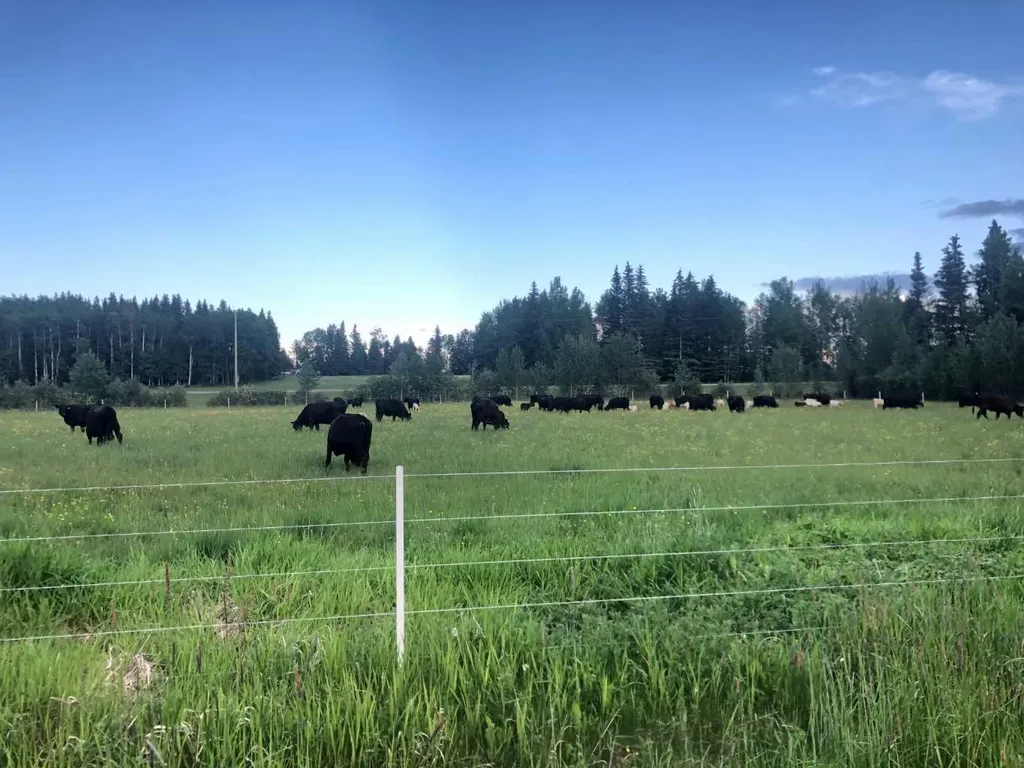 NW-4-54 -17-W5 Rural Yellowhead County AB T7E 3M4