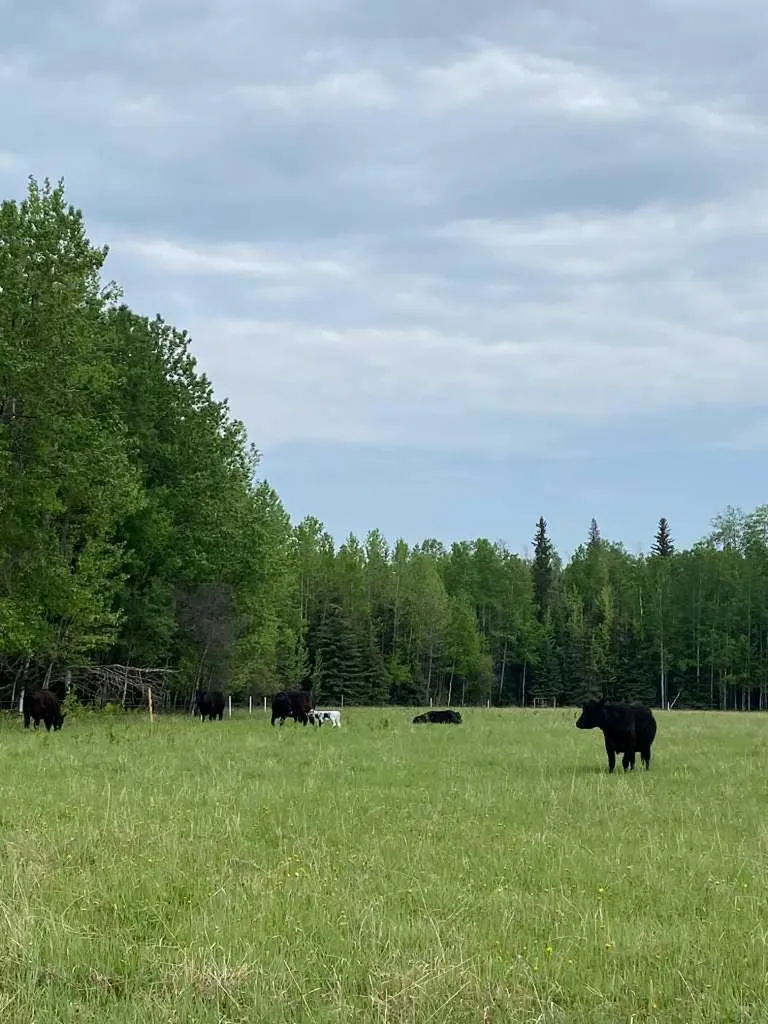 NW-4-54 -17-W5 Rural Yellowhead County AB T7E 3M4