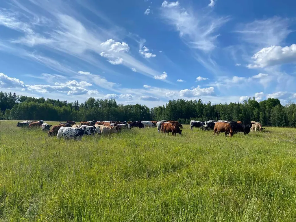 NW-4-54 -17-W5 Rural Yellowhead County AB T7E 3M4