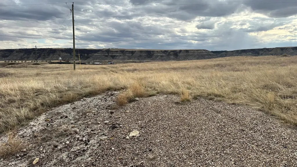 Highway 838 North Dinosaur Trail Rural Starland County AB T0J 0Y1