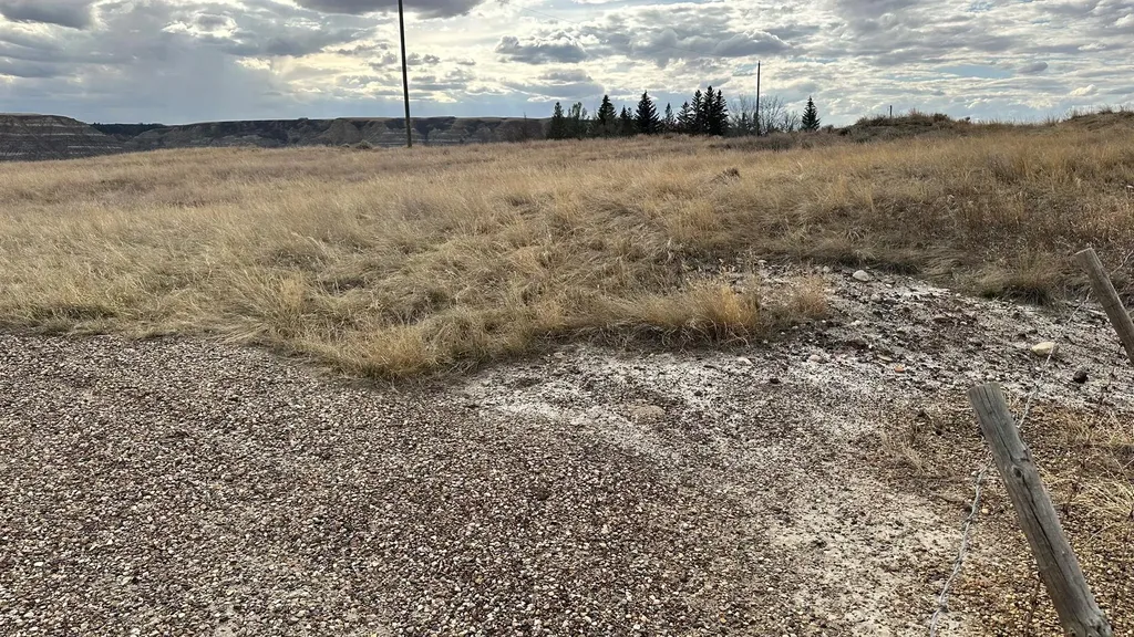 Highway 838 North Dinosaur Trail Rural Starland County AB T0J 0Y1