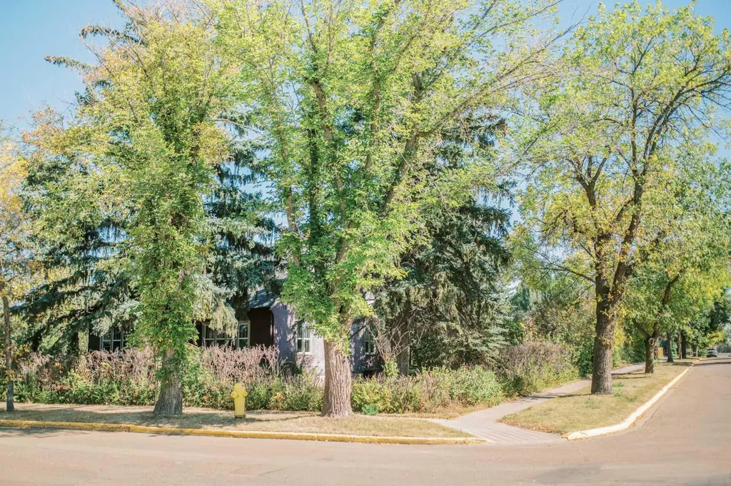 4901 48 Street S Stettler AB T0C 2L2