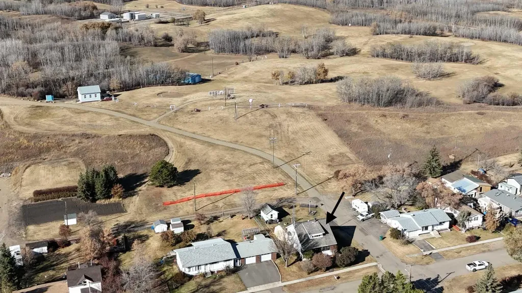 221 4th Avenue S Big Valley AB T0J 0G0