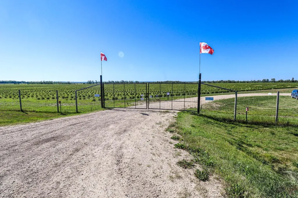 705068 Rge Road 82 Wembley AB T8W 5B5