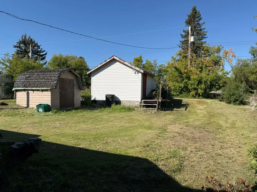 4828 51 Street Mirror AB T0B 3C0