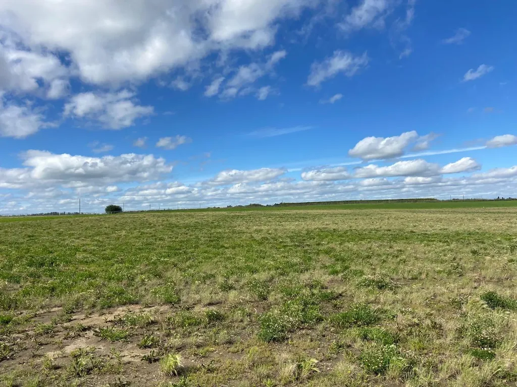 6 431029 Range Road 261 Rural Ponoka County AB T4J 1R4