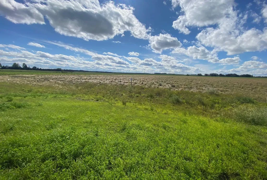 2 431029 Range Road 261 Rural Ponoka County AB T4J 1R4