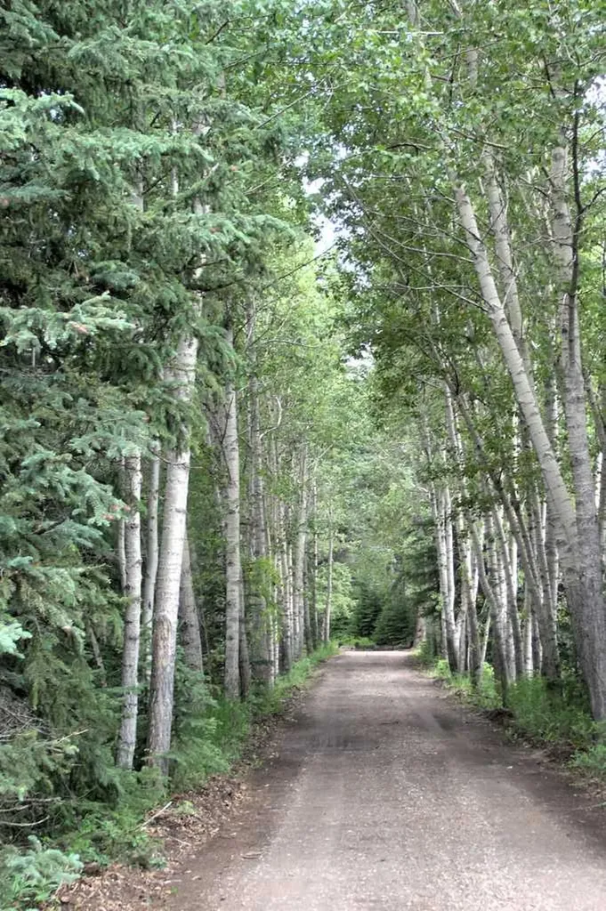 40018 Township Road 242 Rural Rocky View County AB T3Z 2Z1