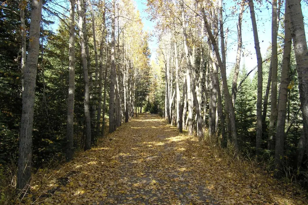 40018 Township Road 242 Rural Rocky View County AB T3Z 2Z1