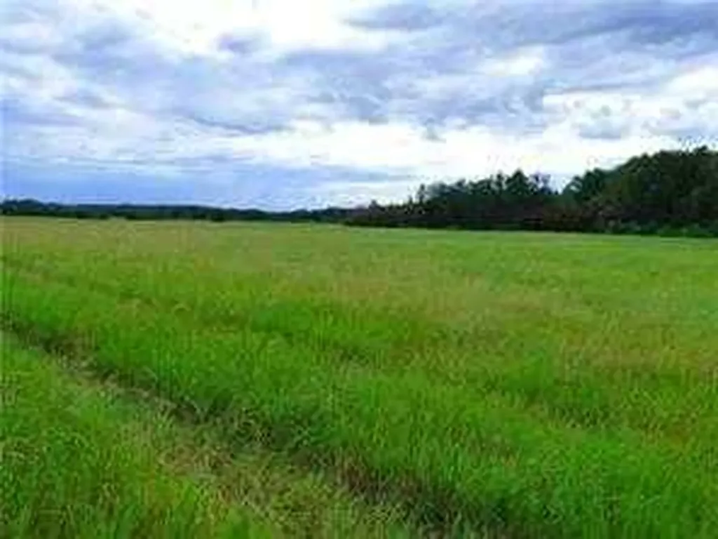 Range Road 142 Highway 55 S Lac La Biche AB T0A 2C0