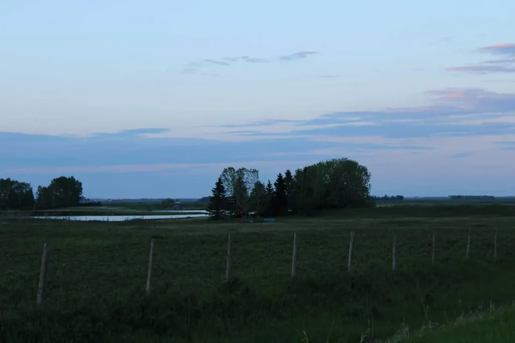 On Township Road 322 Rural Mountain View County AB T4H1T8