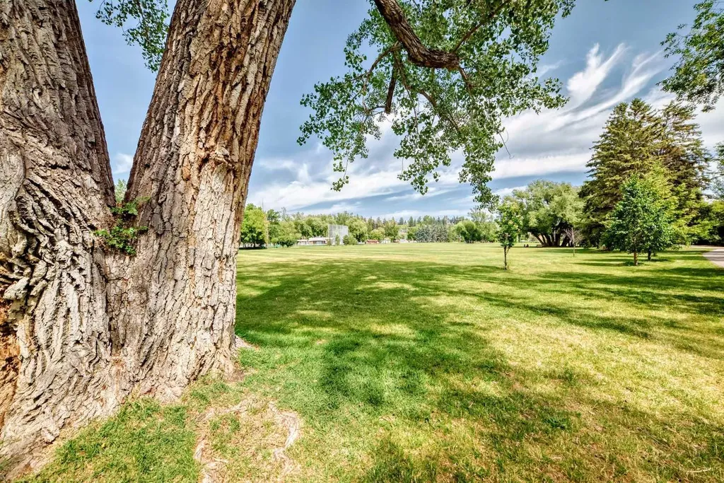 1234 5 Avenue NW Calgary AB T2N 0R9