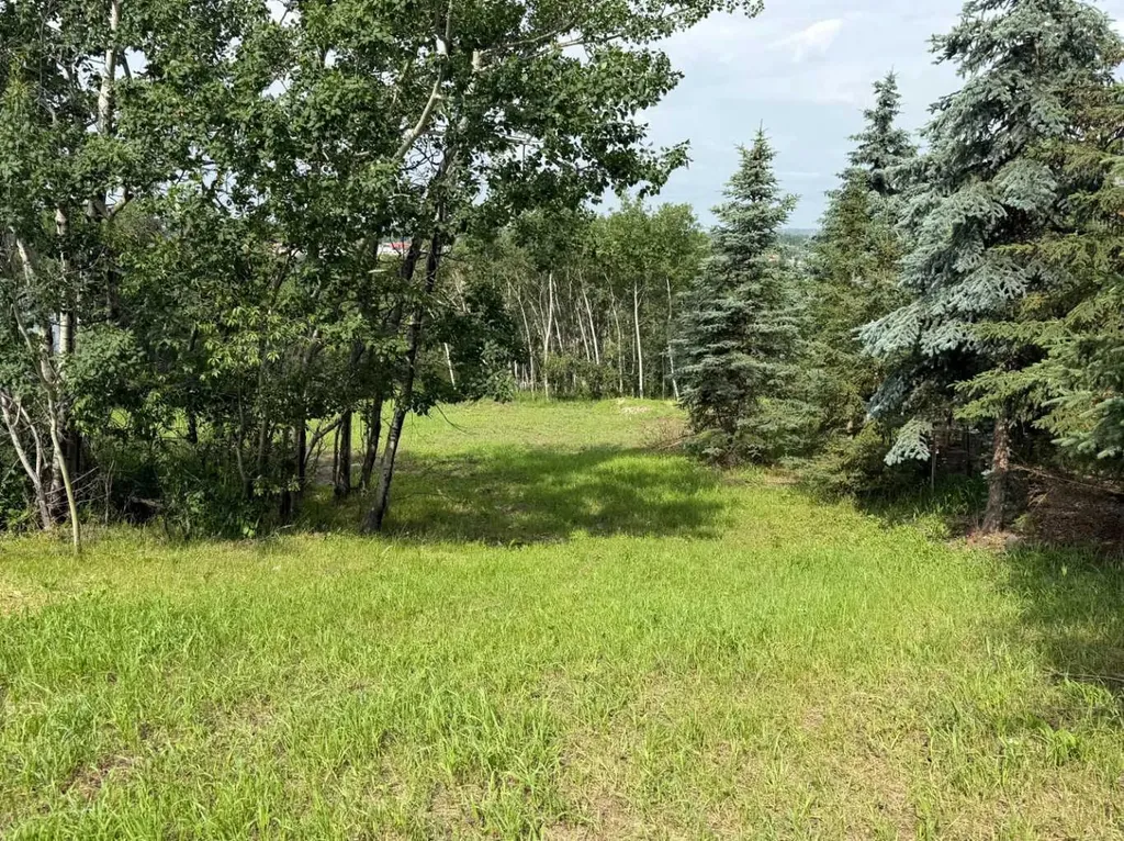 5108 42a Street Close Ponoka AB T4J 1M3