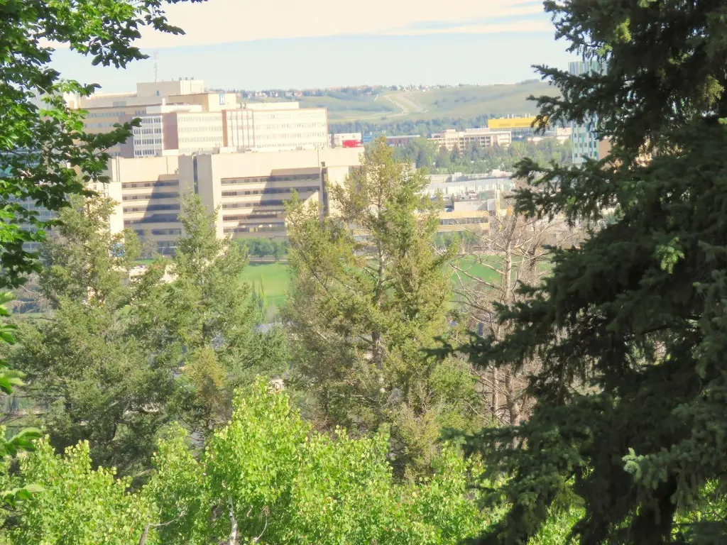 328 Cedar Crescent SW Calgary AB T3C 2Y8