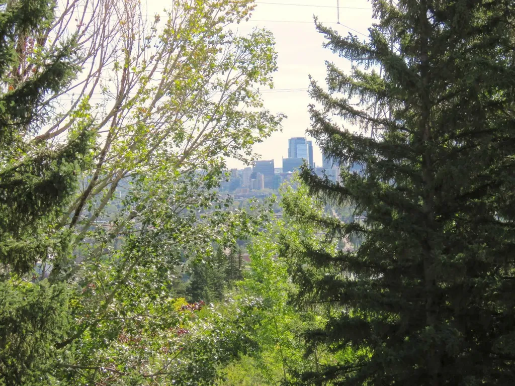 328 Cedar Crescent SW Calgary AB T3C 2Y8