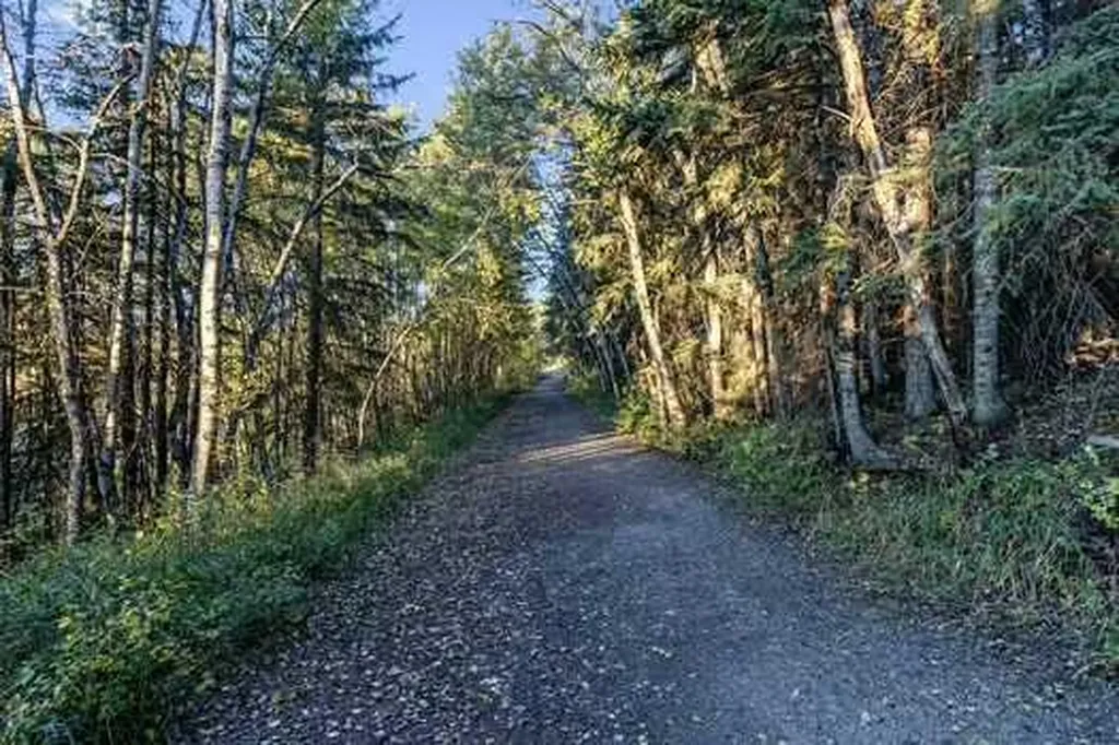 41 Evergreen Mount SW Calgary AB T2Y 0K1