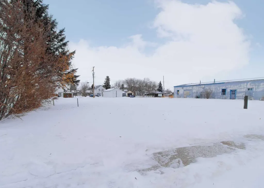 5124 53 Avenue Viking AB T0B 4N0