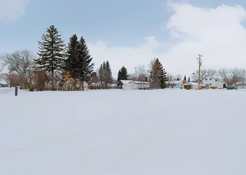 5124 53 Avenue Viking AB T0B 4N0