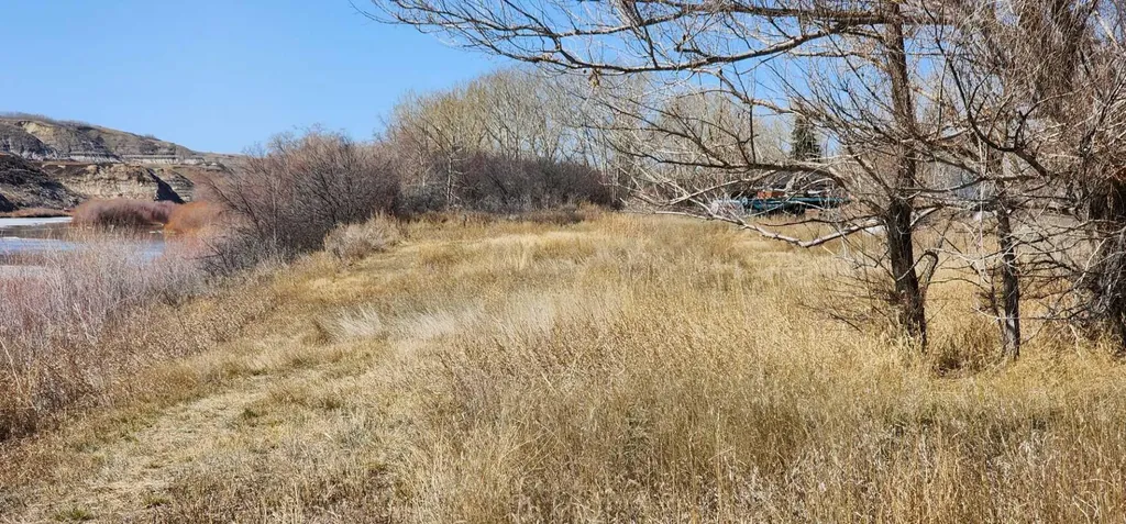5235 Highway 10 Drumheller AB T0J 0Y0