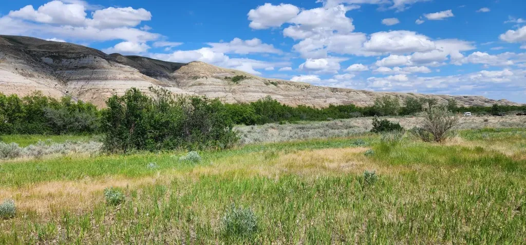 4;18;27;21;N Lot 6 & 10 Drumheller AB T0J 0Y0