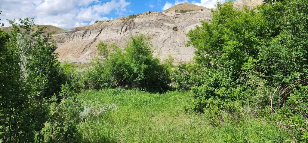 4;18;27;21;N Lot 6 & 10 Drumheller AB T0J 0Y0