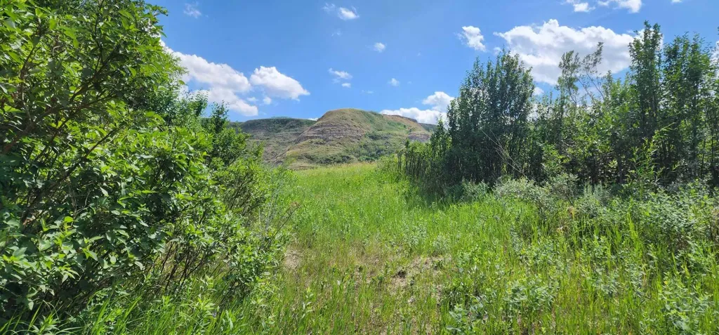 4;18;27;21;N Lot 6 & 10 Drumheller AB T0J 0Y0