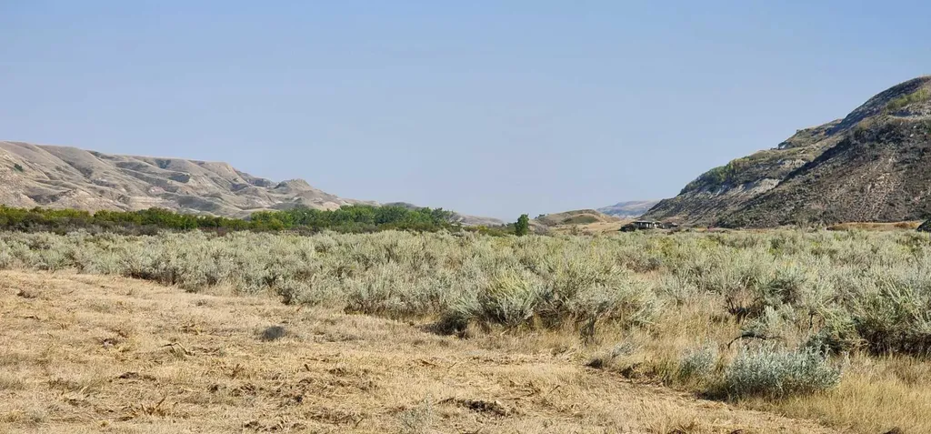 4;18;27;21;N Lot 6 & 10 Drumheller AB T0J 0Y0