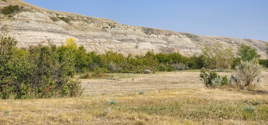4;18;27;21;N Lot 6 & 10 Drumheller AB T0J 0Y0