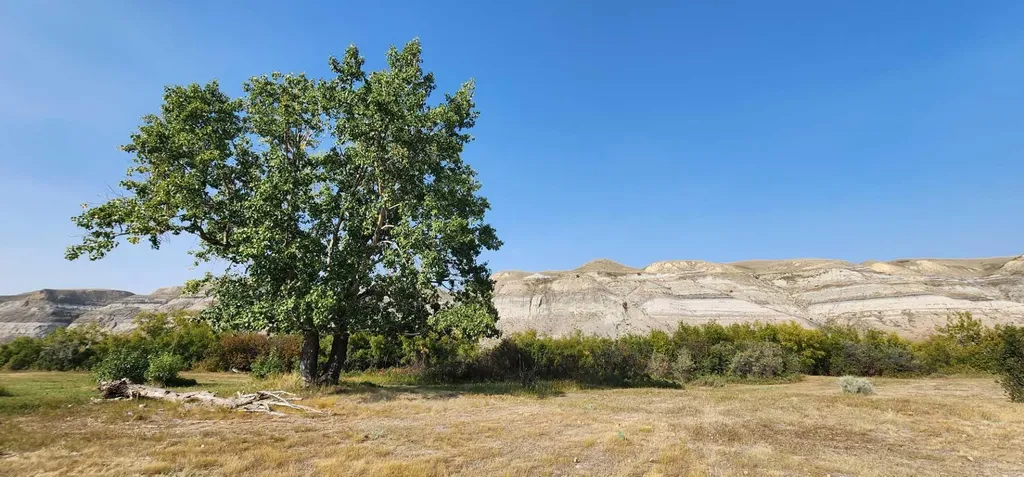 4;18;27;21;N Lot 6 & 10 Drumheller AB T0J 0Y0